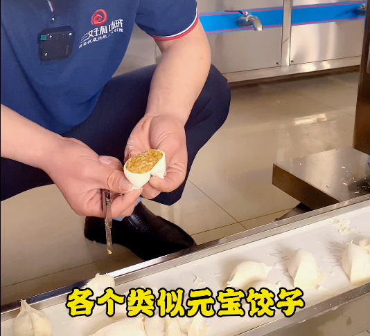 饺子机做出来的饺子效果